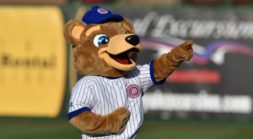 South Bend Cubs mascot Stu the Cub